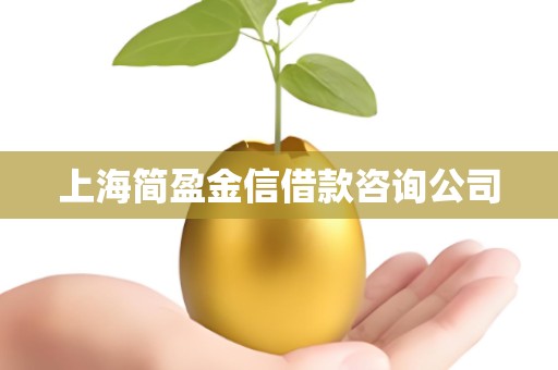 上海简盈金信借款咨询公司