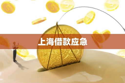 上海借款应急
