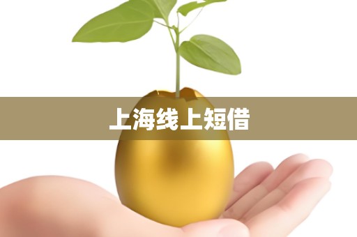 上海线上短借