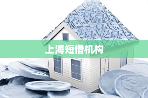 上海短借机构