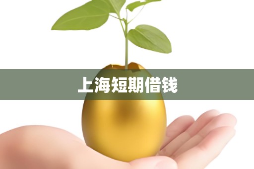 上海短期借钱