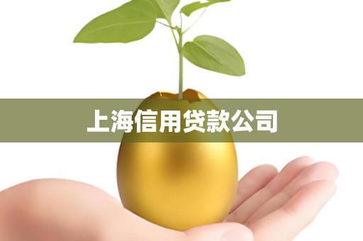 上海信用贷款公司