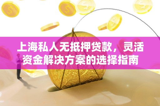 上海私人无抵押贷款，灵活资金解决方案的选择指南
