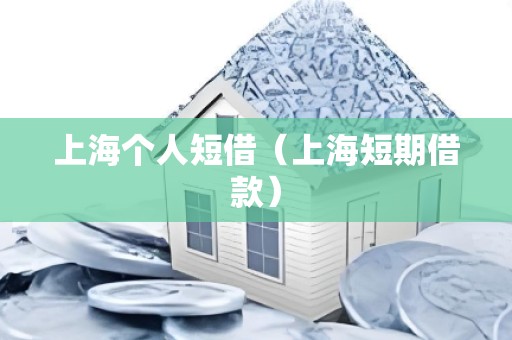 上海个人短借（上海短期借款）