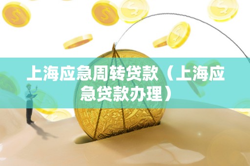 上海应急周转贷款（上海应急贷款办理）