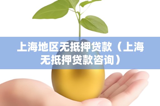 上海地区无抵押贷款（上海无抵押贷款咨询）