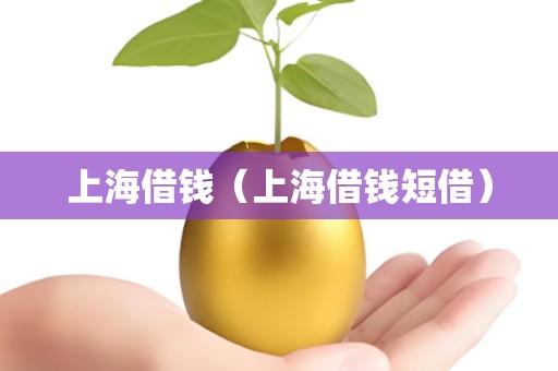 上海借钱（上海借钱短借）
