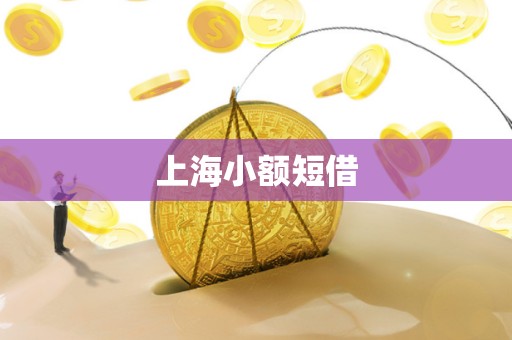 上海小额短借