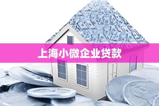 上海小微企业贷款 上海小微企业贷款
