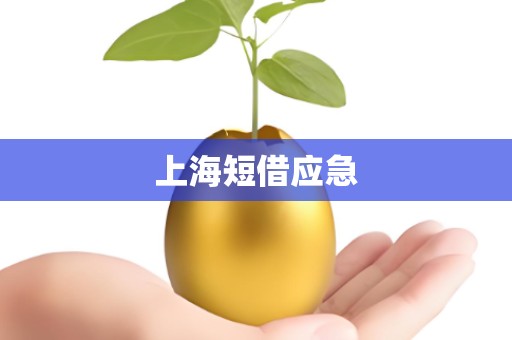 上海短借应急