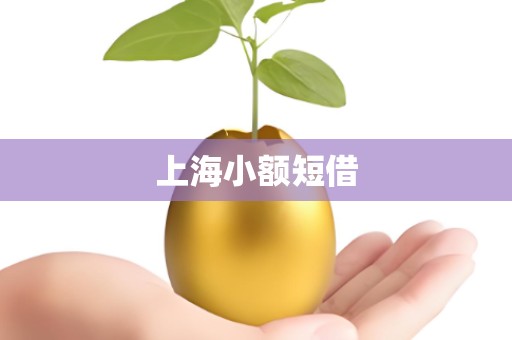 上海小额短借 上海小额短借